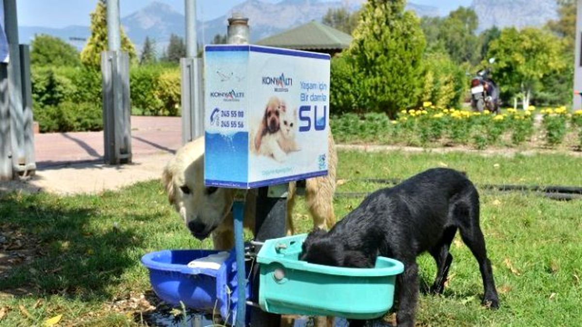 Başkan Böcek\'den Çağrı