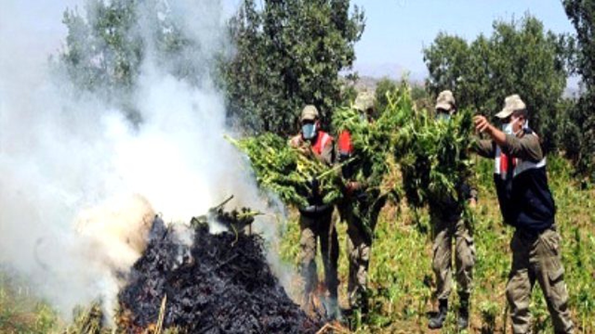 Diyarbakır\'da Jandarma Komandolu Uyuşturucu Operasyonu