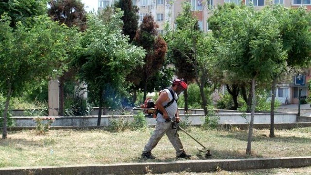 Fener Üstüne Ramazan Bakımı