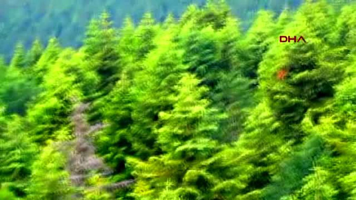 Kazdağları\'nda Res Endişesi