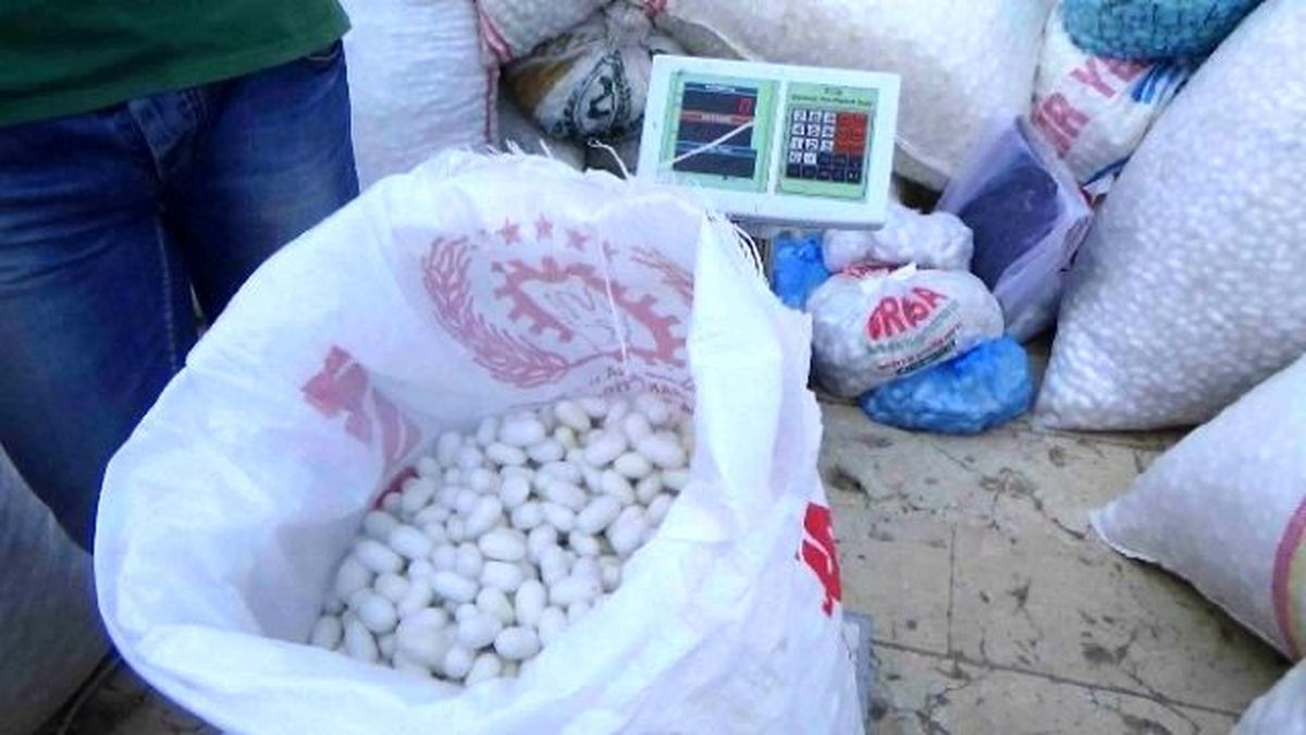 Kulp\'ta İpekböceği Koza Alımları Başladı