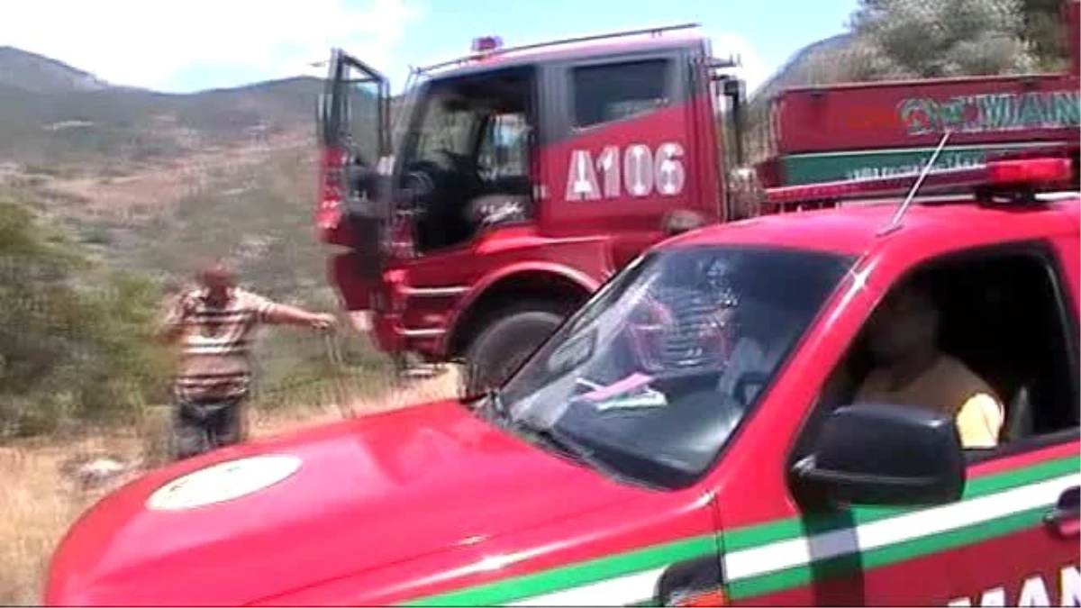 Muğla - Datça\'da Yangın, Badem ve Zeytin Ağaçlarına Zarar Verdi