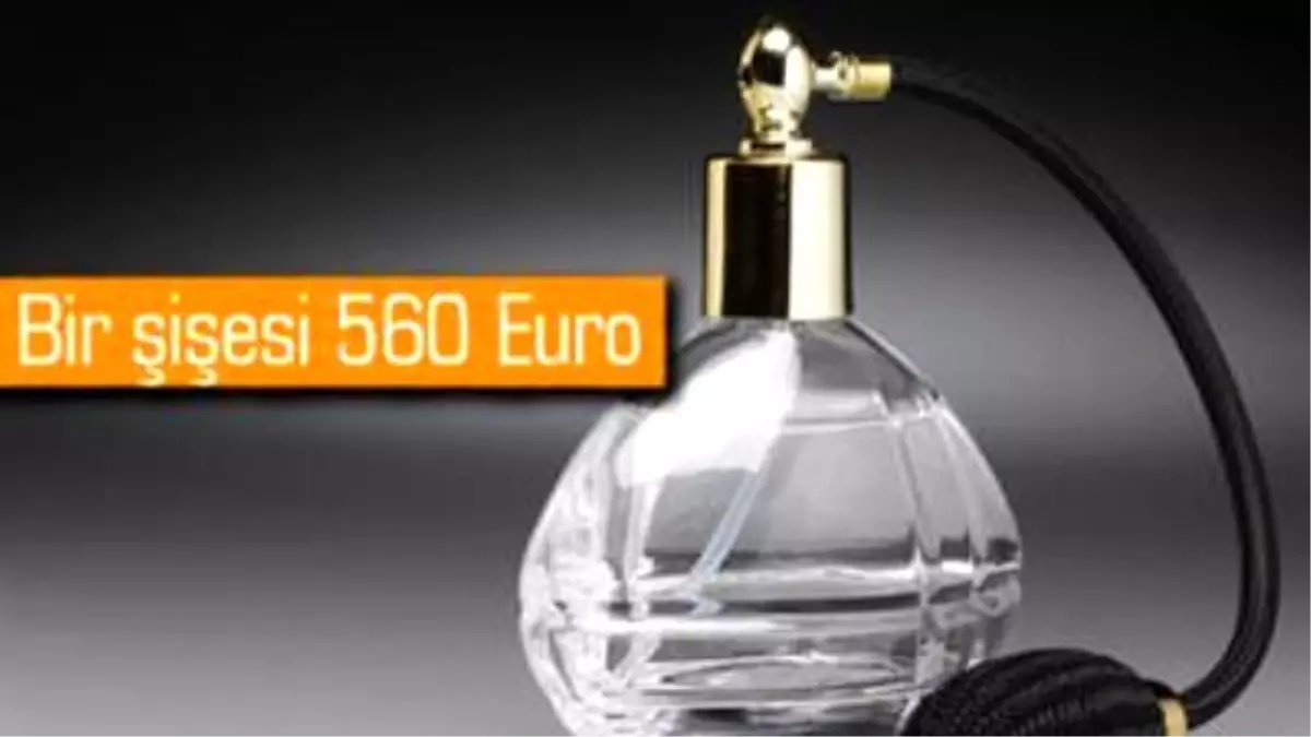 Ölü Kokusundan Parfüm Yaptılar