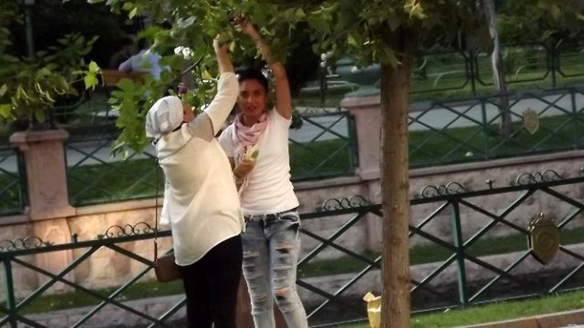 Porsuk Kıyısında Ihlamur Mevsimi