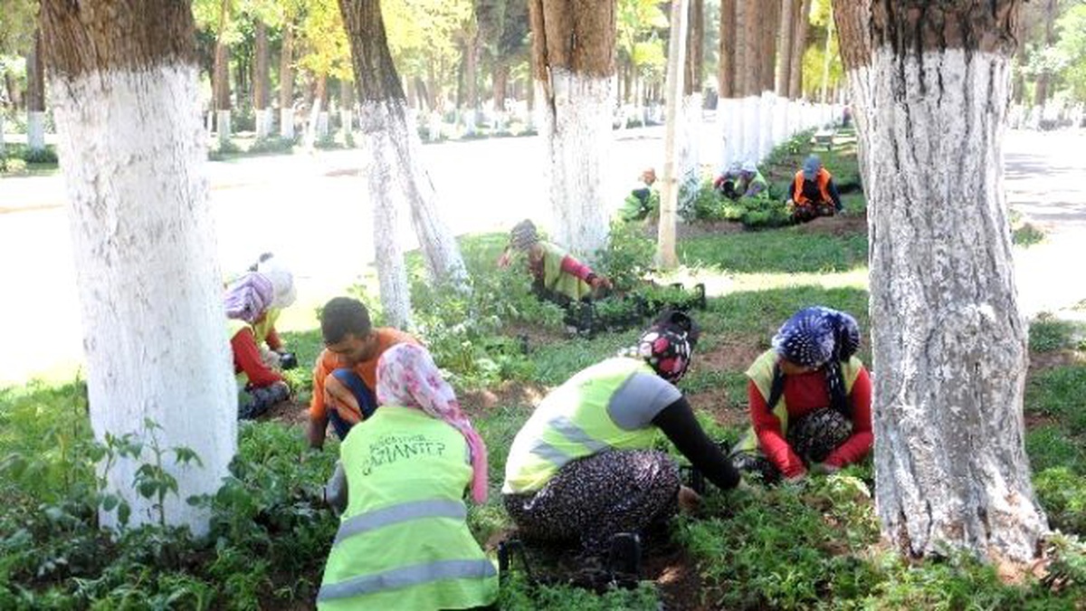 Gaziantep\'teki Mezarlıklar Kadınların Ellerinde Çiçek Açıp Yeşilleniyor
