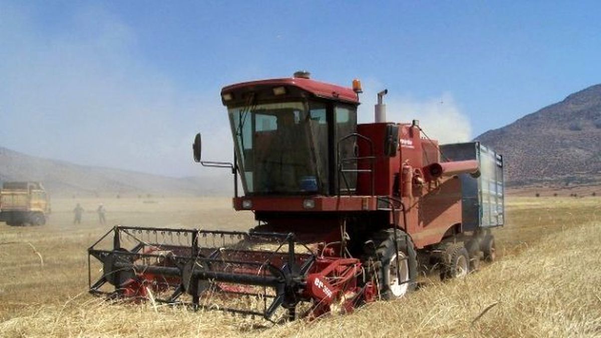 Korkuteli\'nde Hasat Öncesi Çiftçilere Uyarı