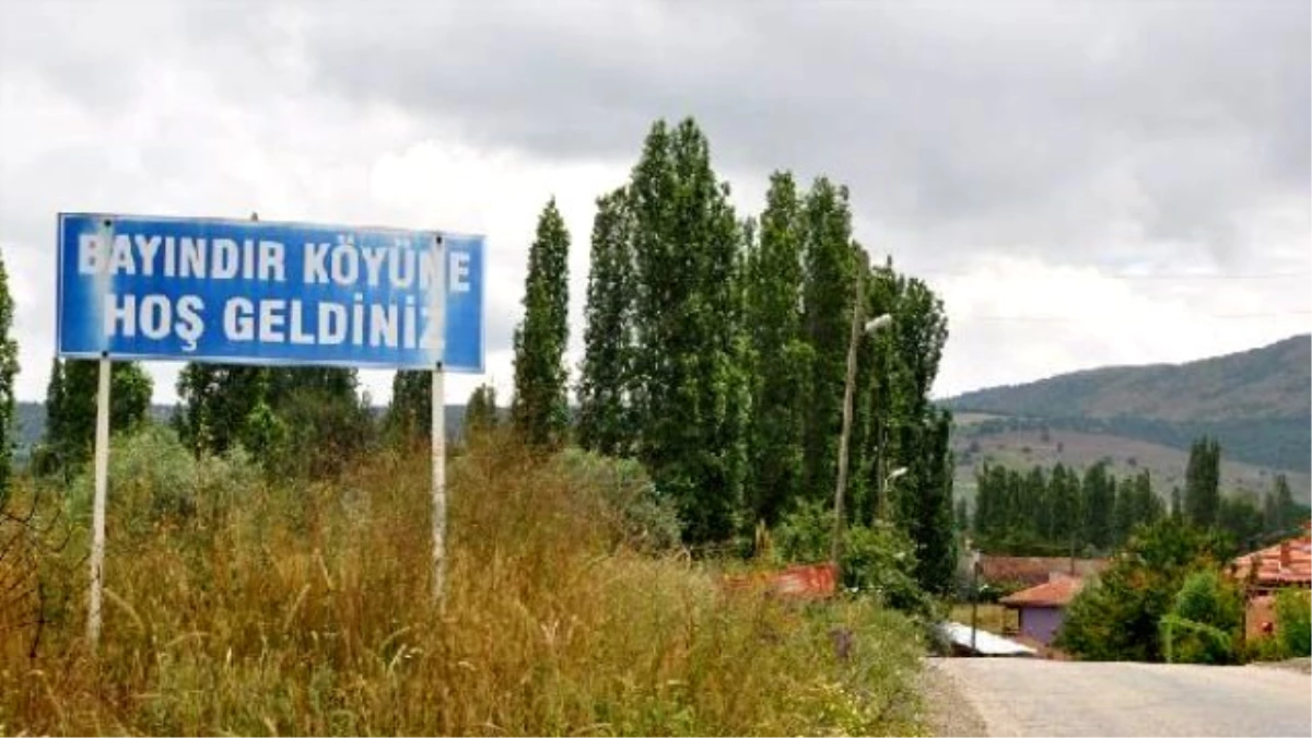 Köye İnen Kurt, 2 Kişiye Saldırdı