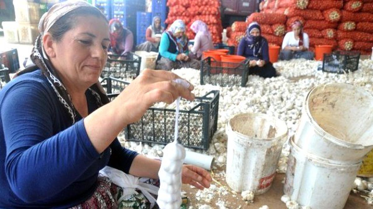 Sarımsak Üreticileri Sınır Ticaretinden Yana Dertli