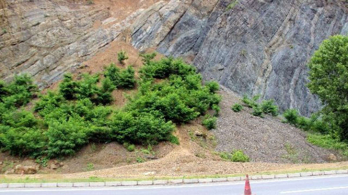 Zonguldak-istanbul Yolundaki Heyelanda Bir Otomobil Daha Zarar Gördü