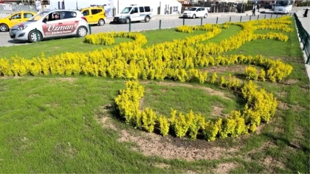 Büyükşehir Belediyesi 500 Bin Adet Çiçek Dikiyor, Erzurum Rengarenk Oluyor