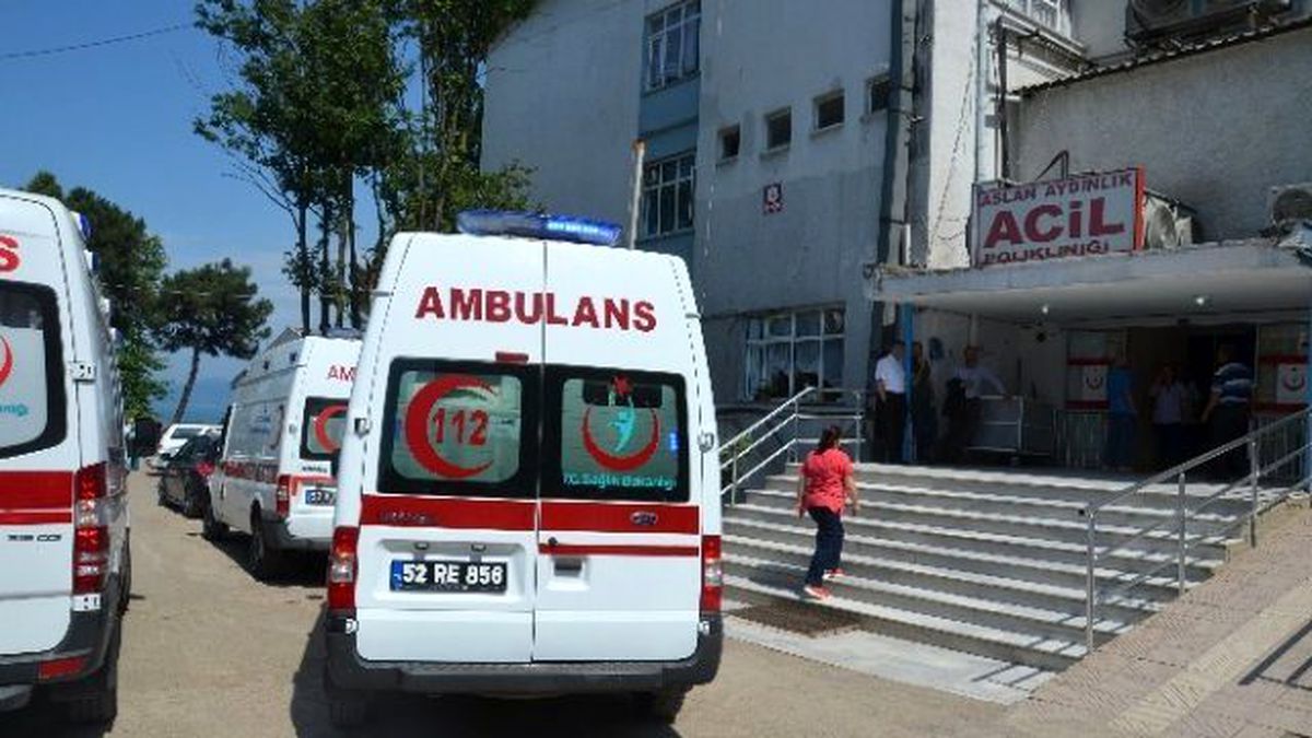 Ordu\'da Ağaçtan Düşerek Yaralandı