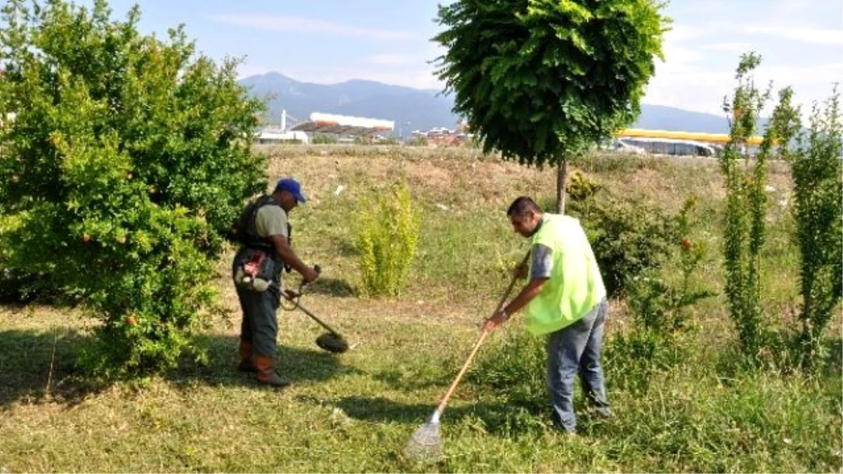 Akçay ve Cemil Temel Mahallesi\'nde Çalışmalar Sürüyor