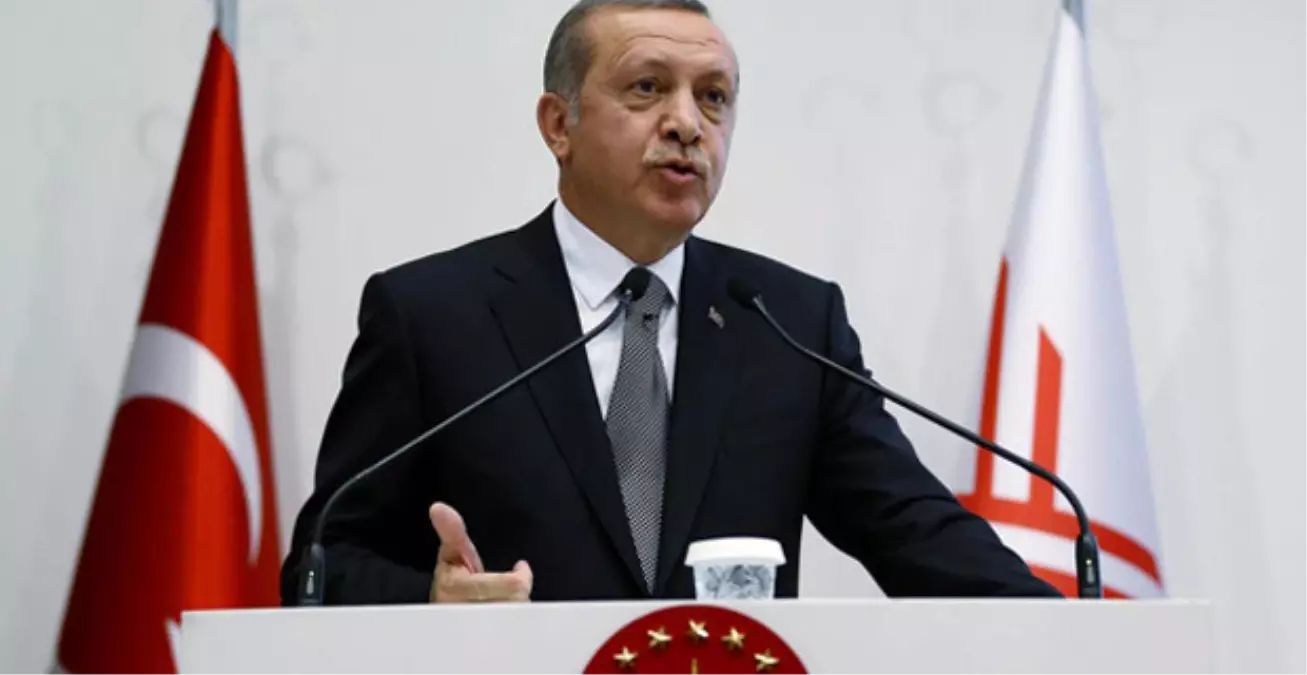 Alman Basını: Erdoğan Muhalefeti Erken Seçimle Tehdit Ediyor