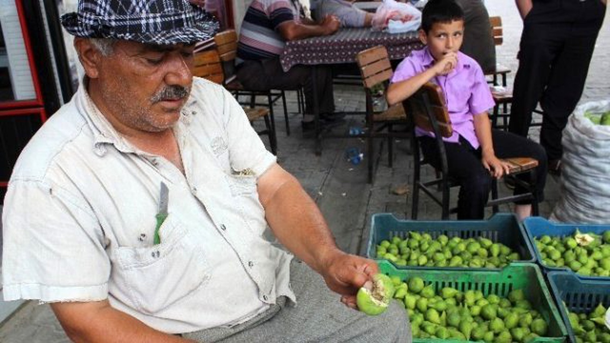 Aydın\'ın Milli Meyvesi İncirin Olması Bu Sineklerin Çalışmasına Bağlı