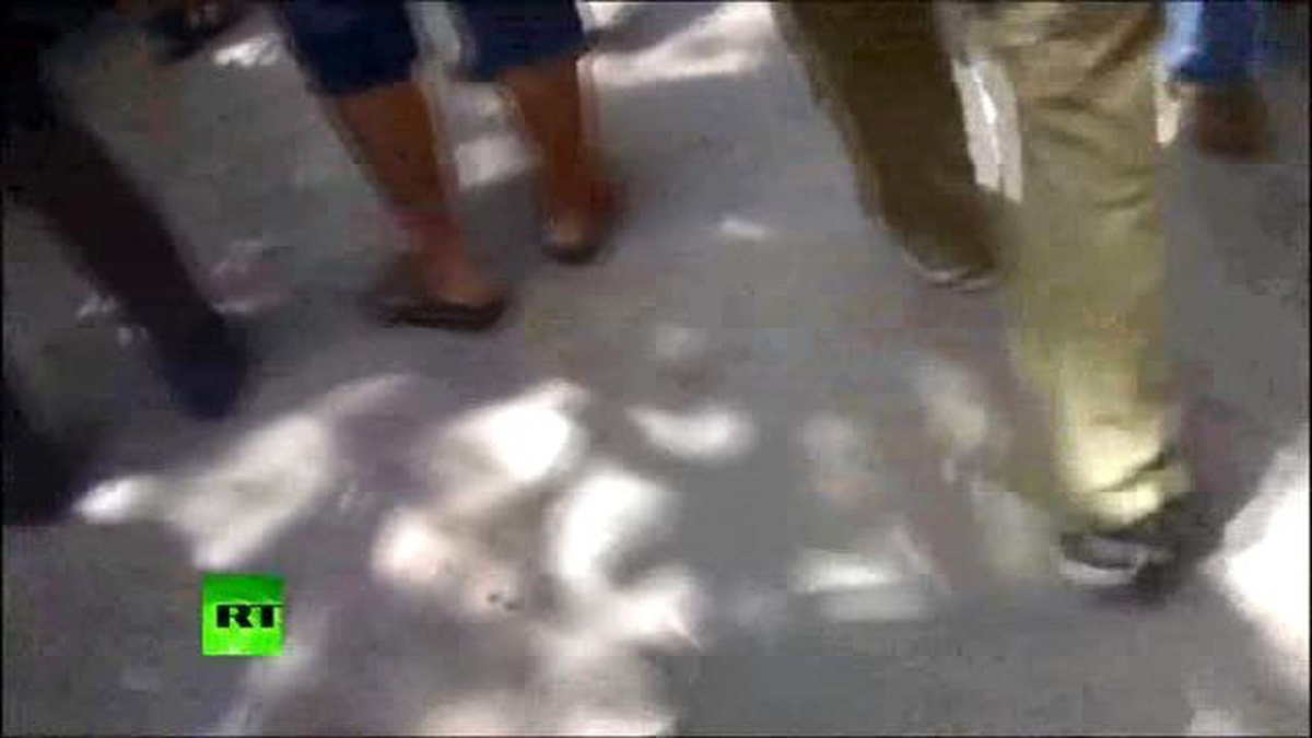 Çin?de ?köpek Eti Festivali? İçin 40 Bin Köpek Kesildi