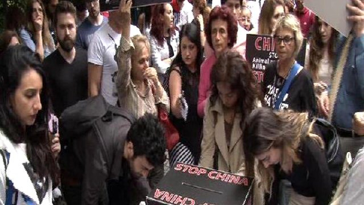 Çin\'de Yapılan "Köpek Eti Festivali" Protesto Edildi