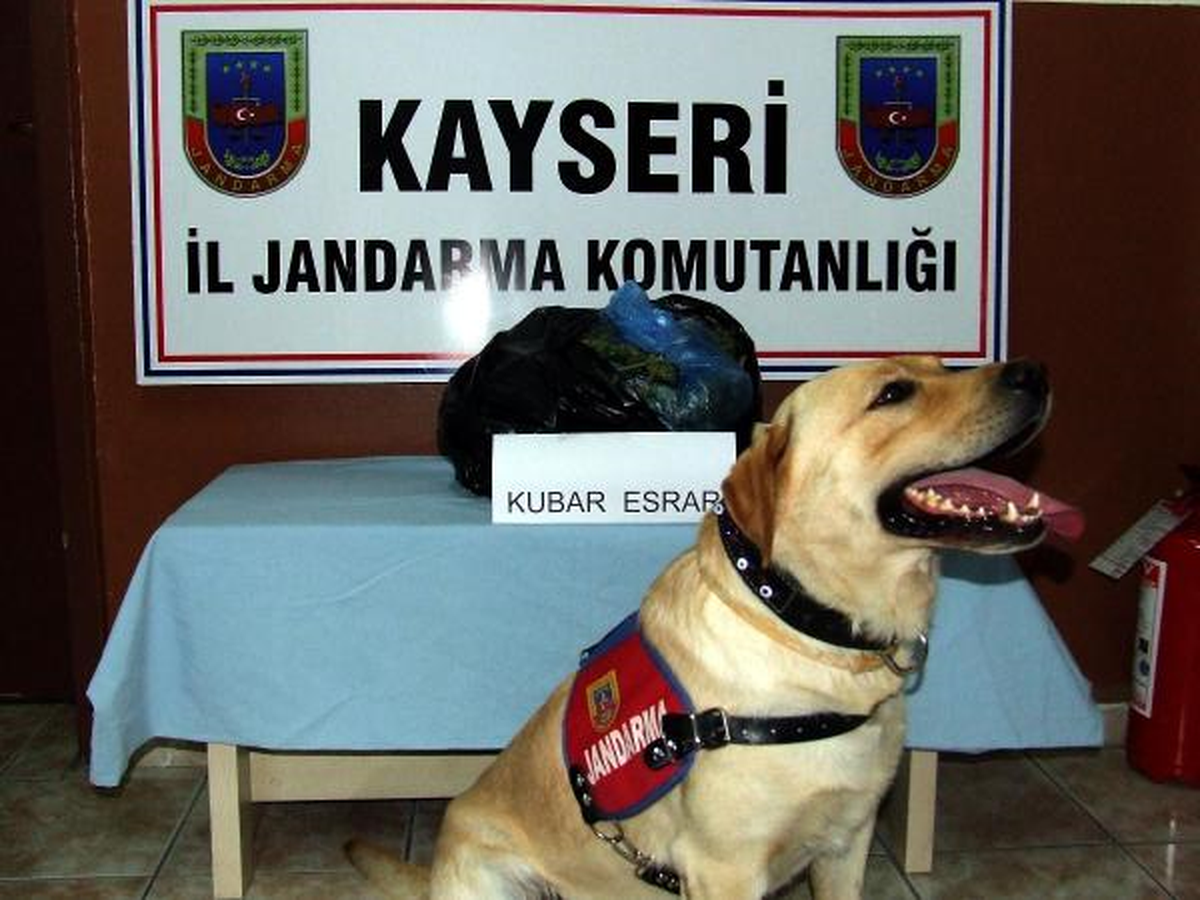 Çukurova Ekspresi\'nde 2 Kilo Esrar Ele Geçirildi