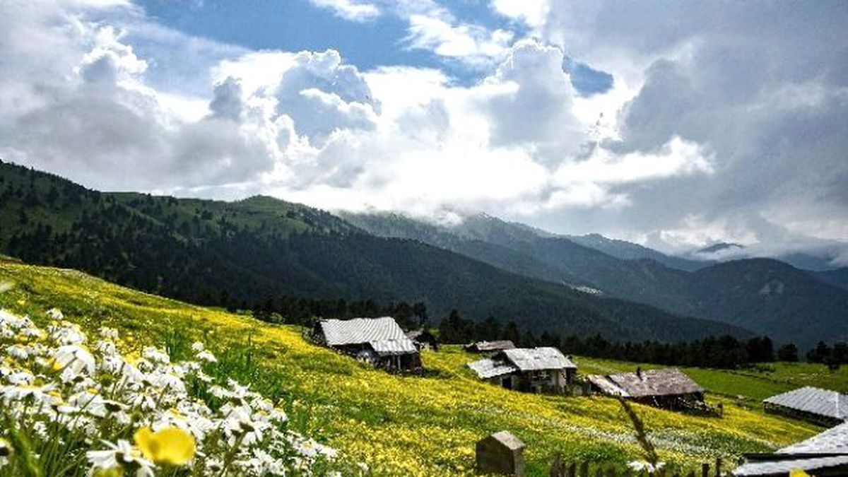 Gümüşhane\'nin Bitki Sayısı ve Çeşidinde Artış