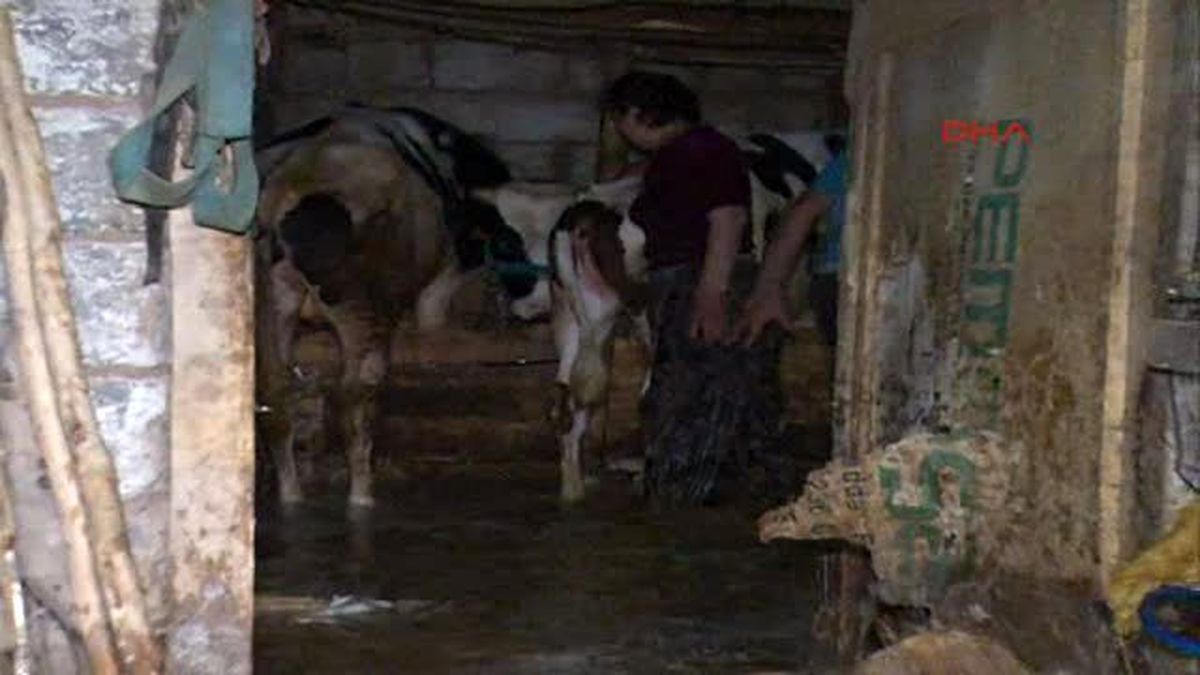 Isparta Sağanak Yağmura Teslim Oldu