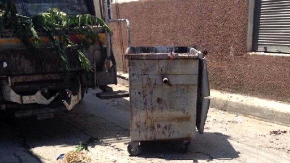 İzmir'de Bir Konteynerda Kesilip Atılmış At Başı Bulundu