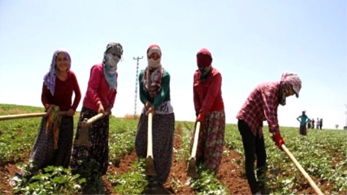 Komisyon Üyeleri Mevsimlik İşçileri Ziyaret Etti