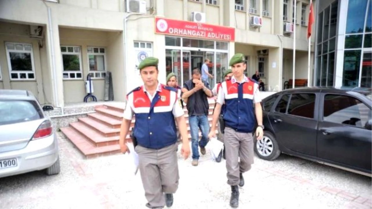 Marmara\'da 220 Adet Hayvan Çalan Şahıs İstanbul\'da Yakalandı