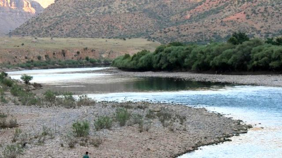Sıcaklardan Bunalan Gençler Botan Çayı\'na Girdi