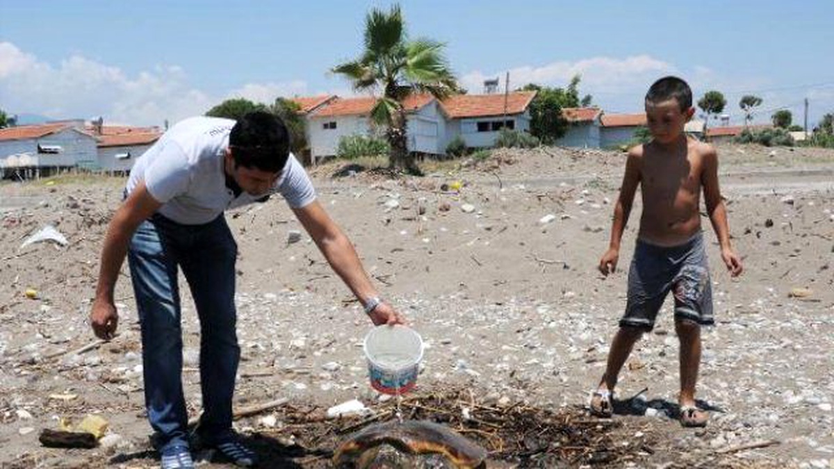 Kumluca\'da Yaralı Caretta Caretta Tedaviye Alındı
