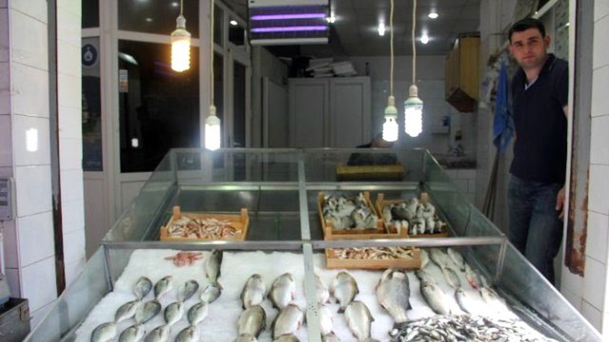 Balık Fiyatları Düştü, Satışlar Arttı
