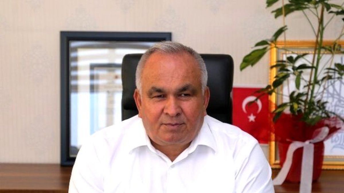 Başkan Tollu Köpek Katliamını Kınadı