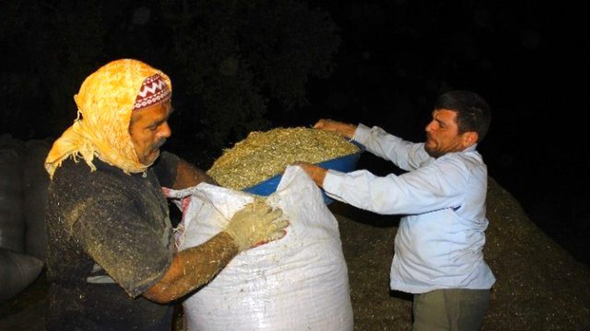 Çiftçiler Mesai Saatlerine Ramazan Ayarı Verdi