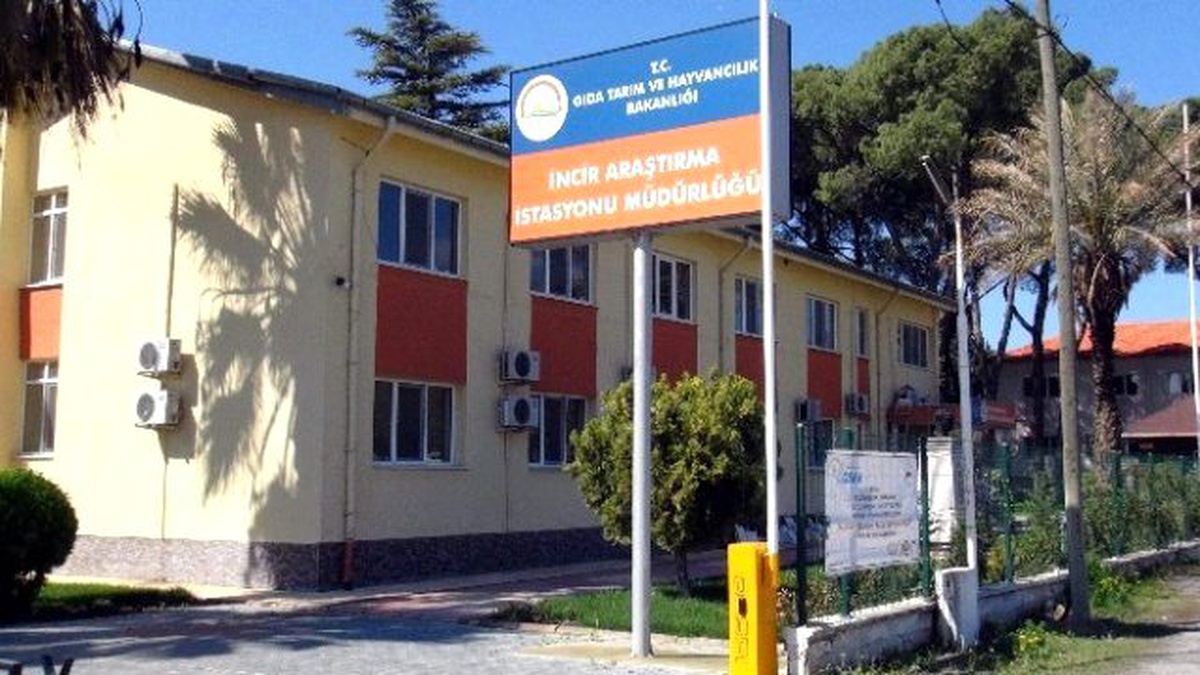 Erbeyli İncir Araştırma Yeniden \'Enstitü\' Oldu