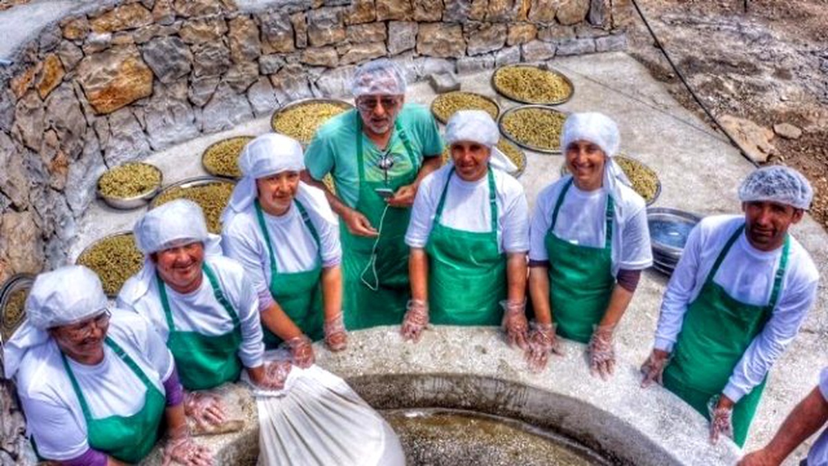 Hijyenik Koşullarda Dut Pekmezi Yapılıyor