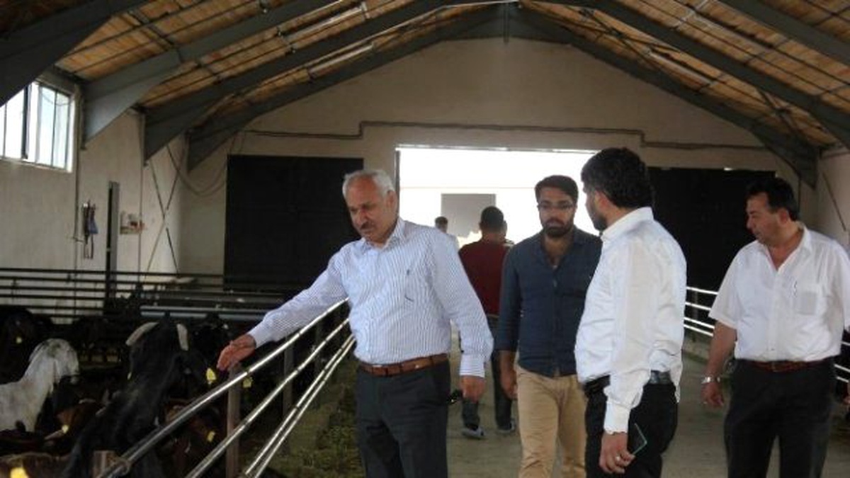İl Müdürü Yılmaz Damızlık Keçi Çiftliğini Ziyaret Etti