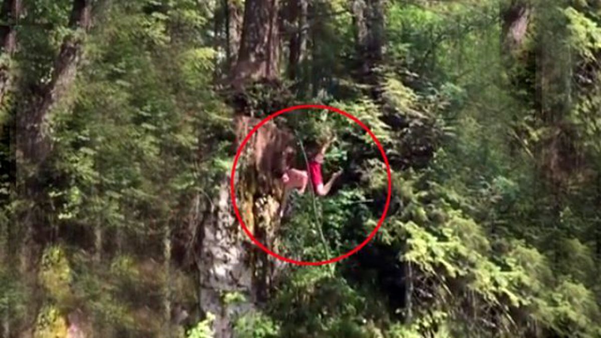 İlan-ı Aşk Etmek İçin Ağaca Tırmandı, Komaya Girdi