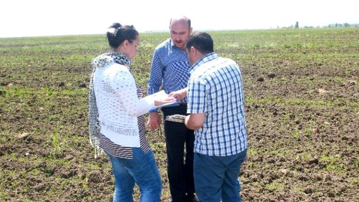 Muş\'ta Yem Bitkileri Kontrol Ediliyor
