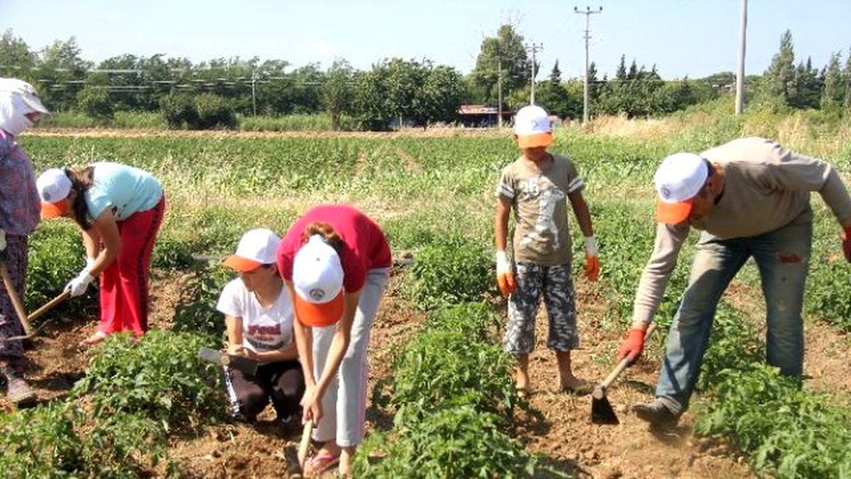 Öğrenciler Tarım Kampına Akın Etti
