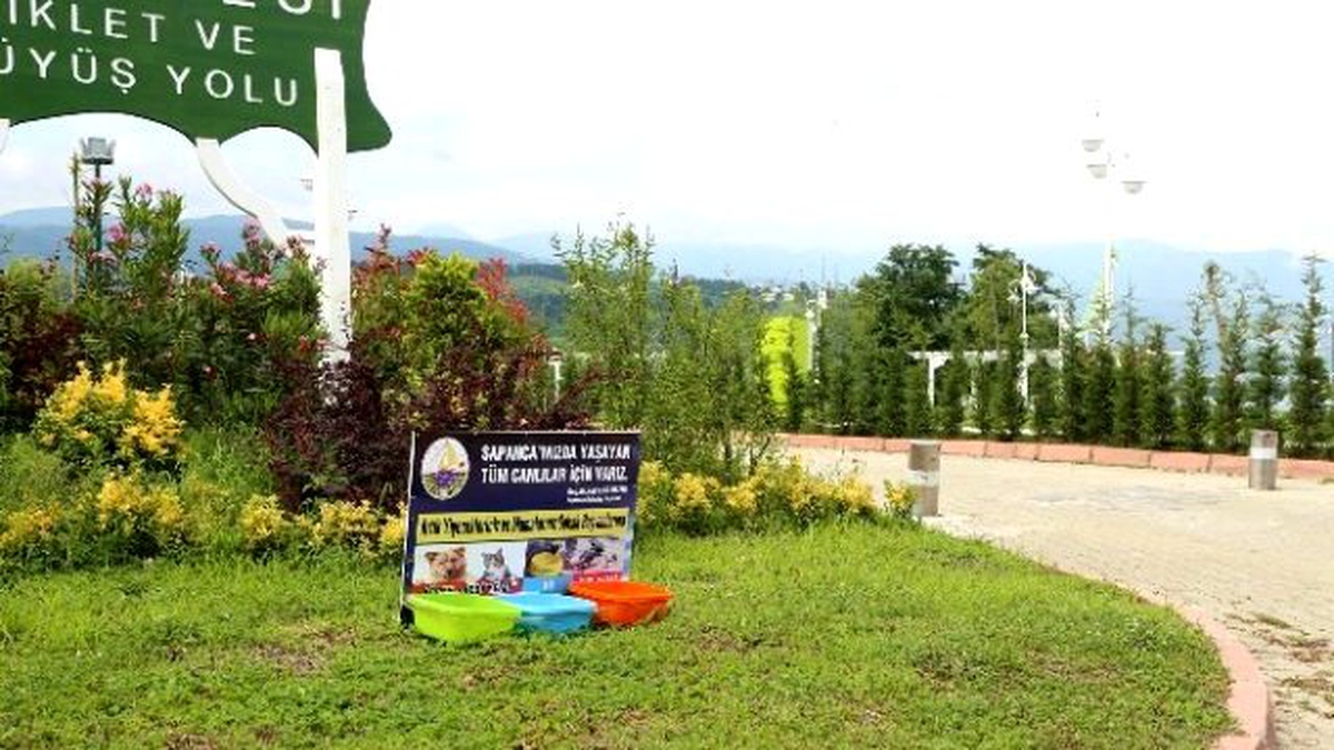 Sapanca\'da Sokak Hayvanları İçin Su ve Yemek Kapları Yerleştirildi