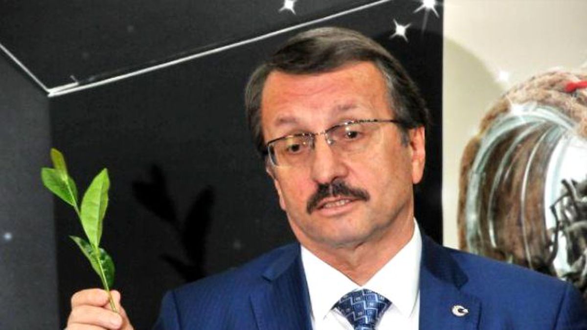Yaş Çayda Rekolte Arttı