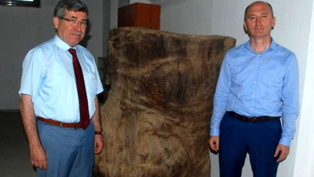 200 Yılık Kütük Ambara Devlet Kuşu Kondu