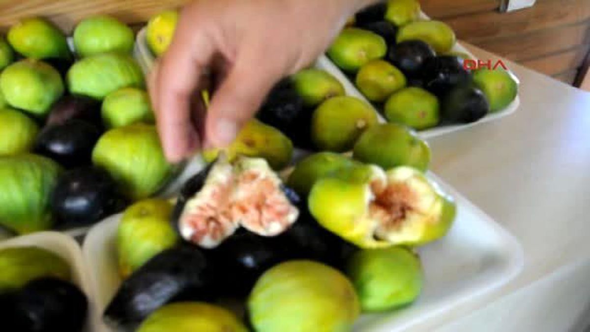 İncir Sevenlere Müjde!