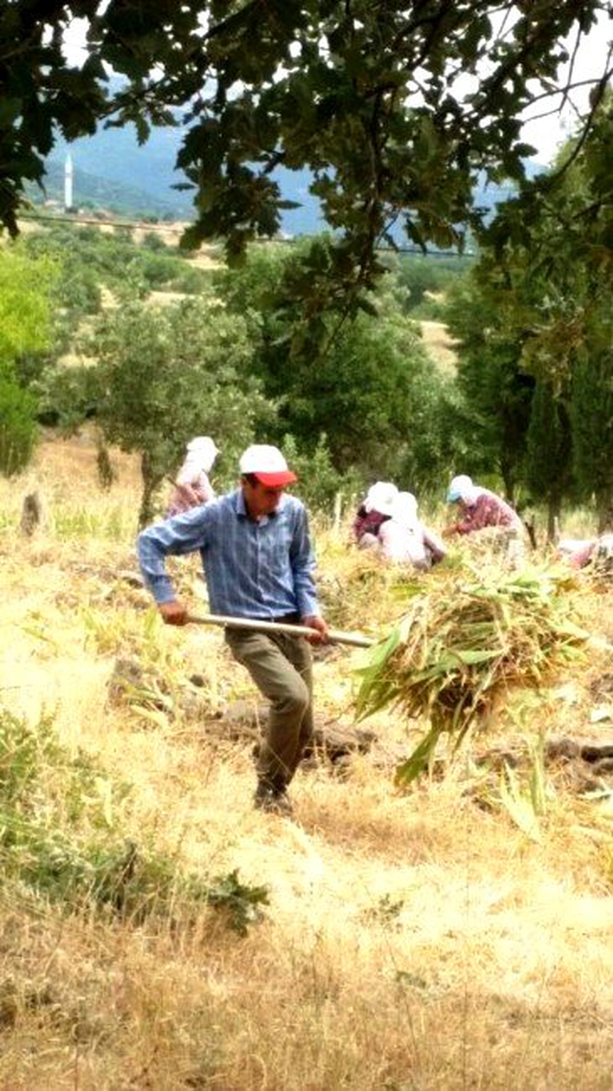 Ayvalık Belediyesi\'nden Mezarlık Temizliği