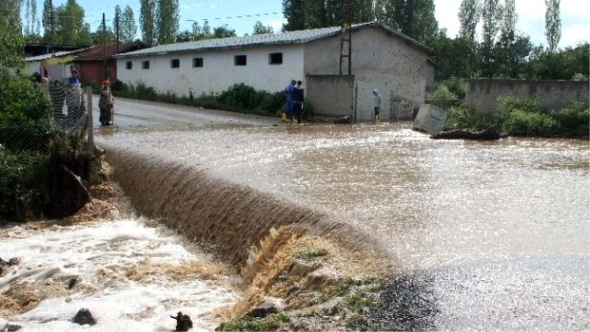 Başkent\'te Aşırı Yağış Dereyi Taşırdı, 22 Hayvan Telef Oldu