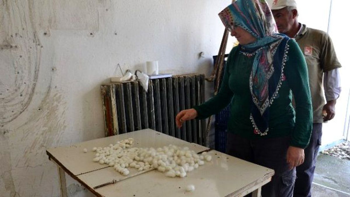 Bilecik Eski Günlerine Geri Dönüyor