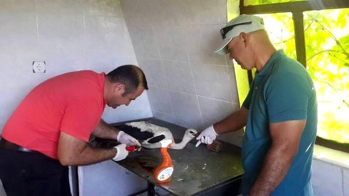 Birine Otomobil Çarptı, Diğerinin Ayağı Kangren Oldu