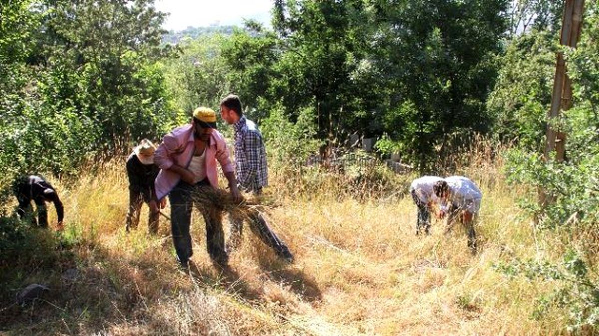 Bitlis Belediyesi Mezarlıkları Temizliyor