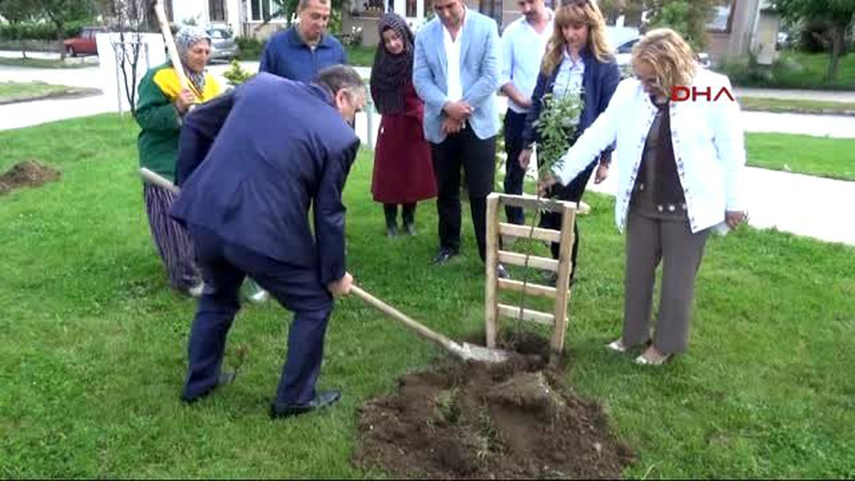 Bolu - Çocuklar Dalından Yesin Diye Parklara Meyve Fidanı Dikildi