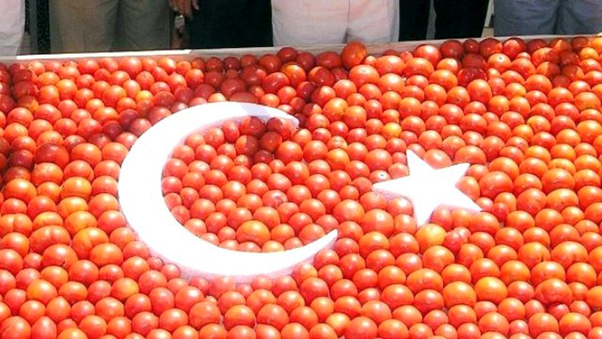 Domates, Soğan ve Patates Üreticisine Hastalık Uyarısı