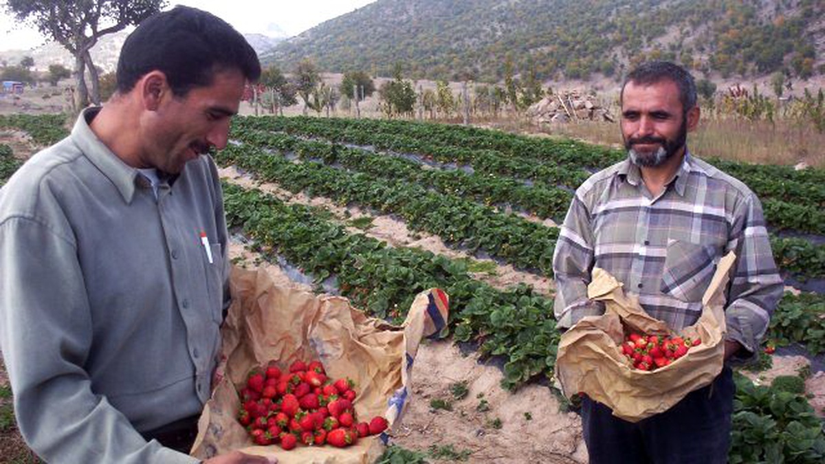 KOP KÖSİP 2015 Yılı Protokolleri İmzalandı