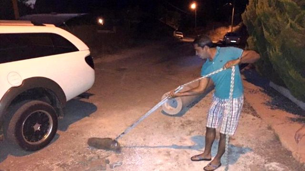 Marmaris\'te Çukura Düşen Yavru Domuz Kurtarıldı
